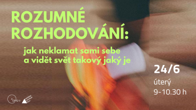Rozumné rozhodování: jak neklamat sami sebe a vidět svět takový jaký je